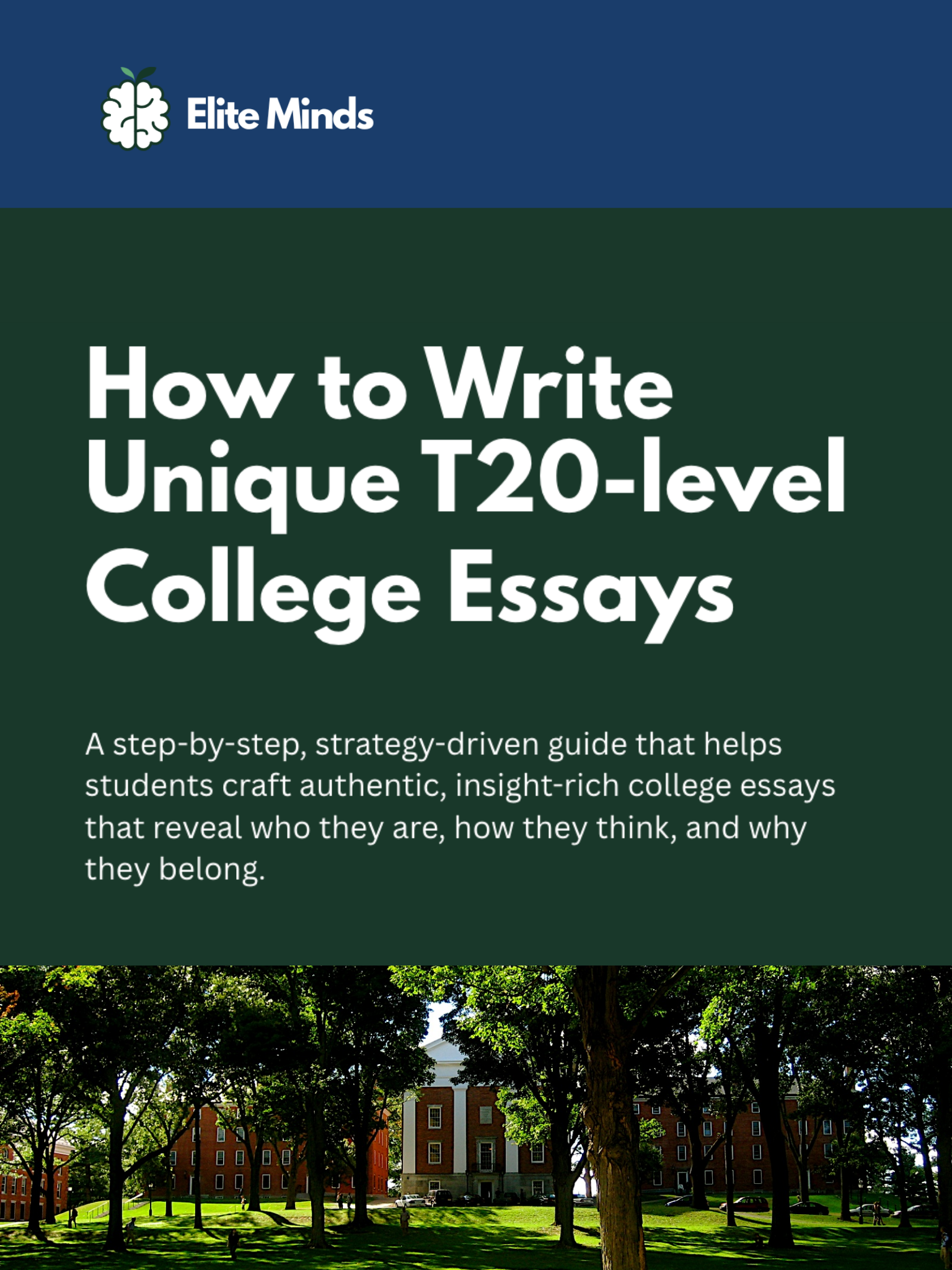 Essay System Guide